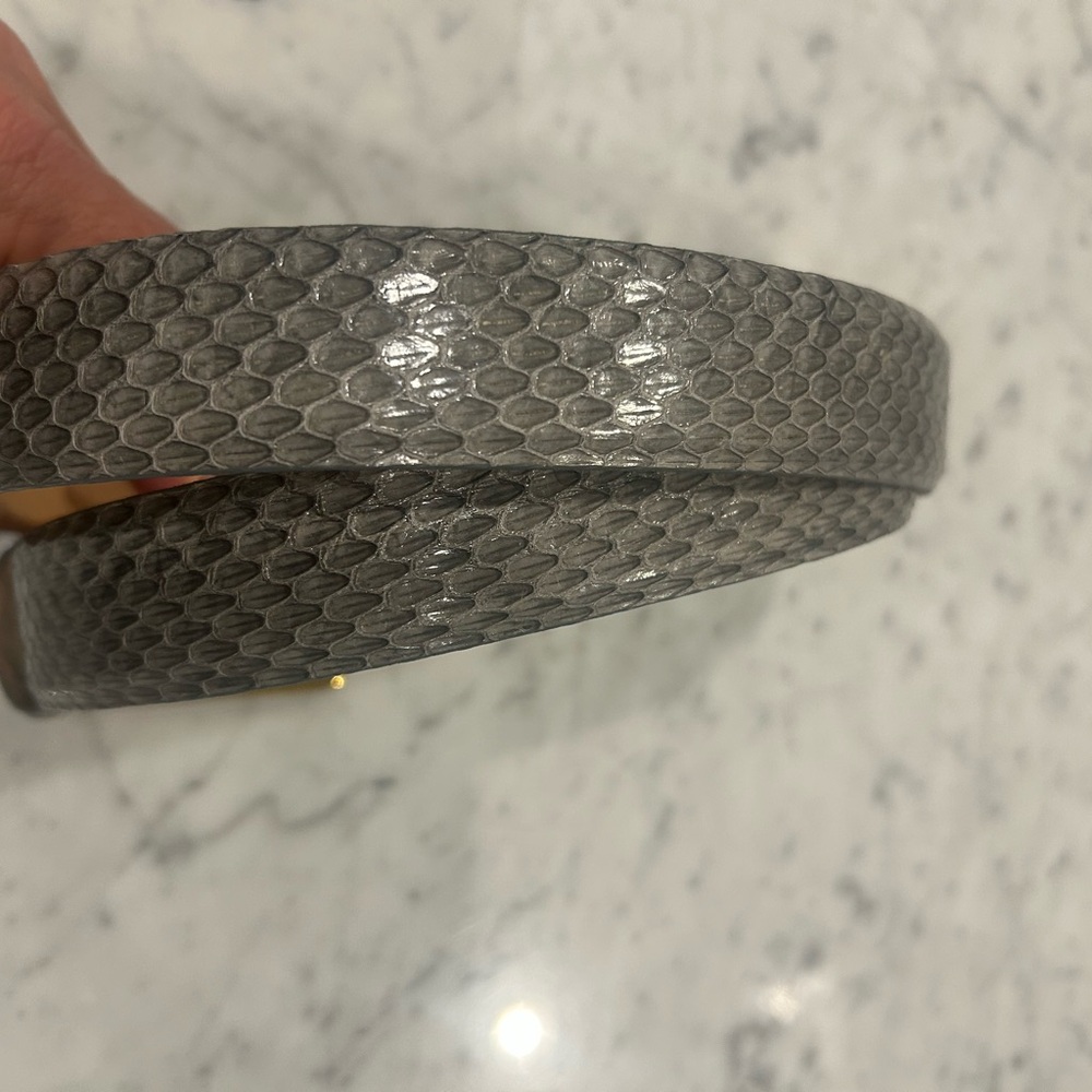 Women’s Carlisle size Large  1”skin belt. 37” length. lizard/snake grey tone - Picture 2 of 8